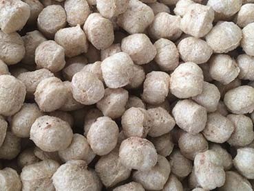 Textured Soy Protein